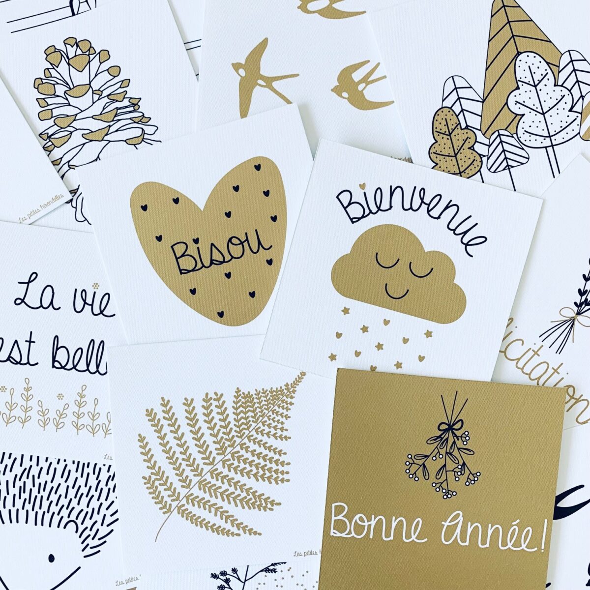 Cartes de correspondance - Bougies du Monde