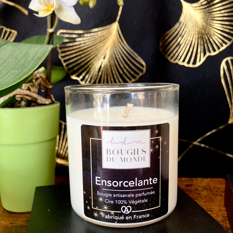 Bougie parfumée Ensorcelante ( Tulipe fruitée )