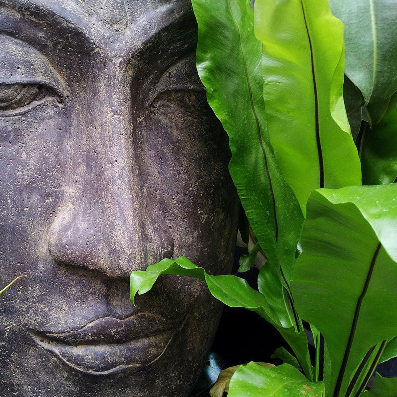 Bougie parfumée Aromatique ZEN - Bougies du Monde