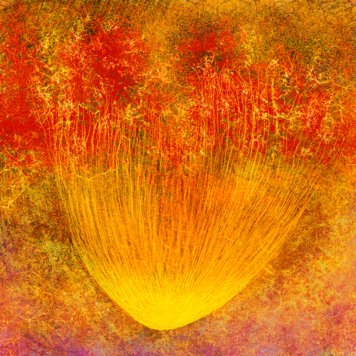 Carte postale artistique: lumière - Orange