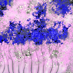Carte postale artistique: Fleurs Roses & Violettes