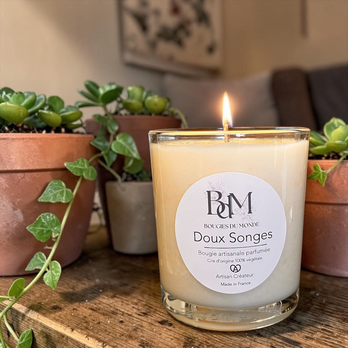 Bougie végétale parfumée Orchidée vanille de Bougies du monde