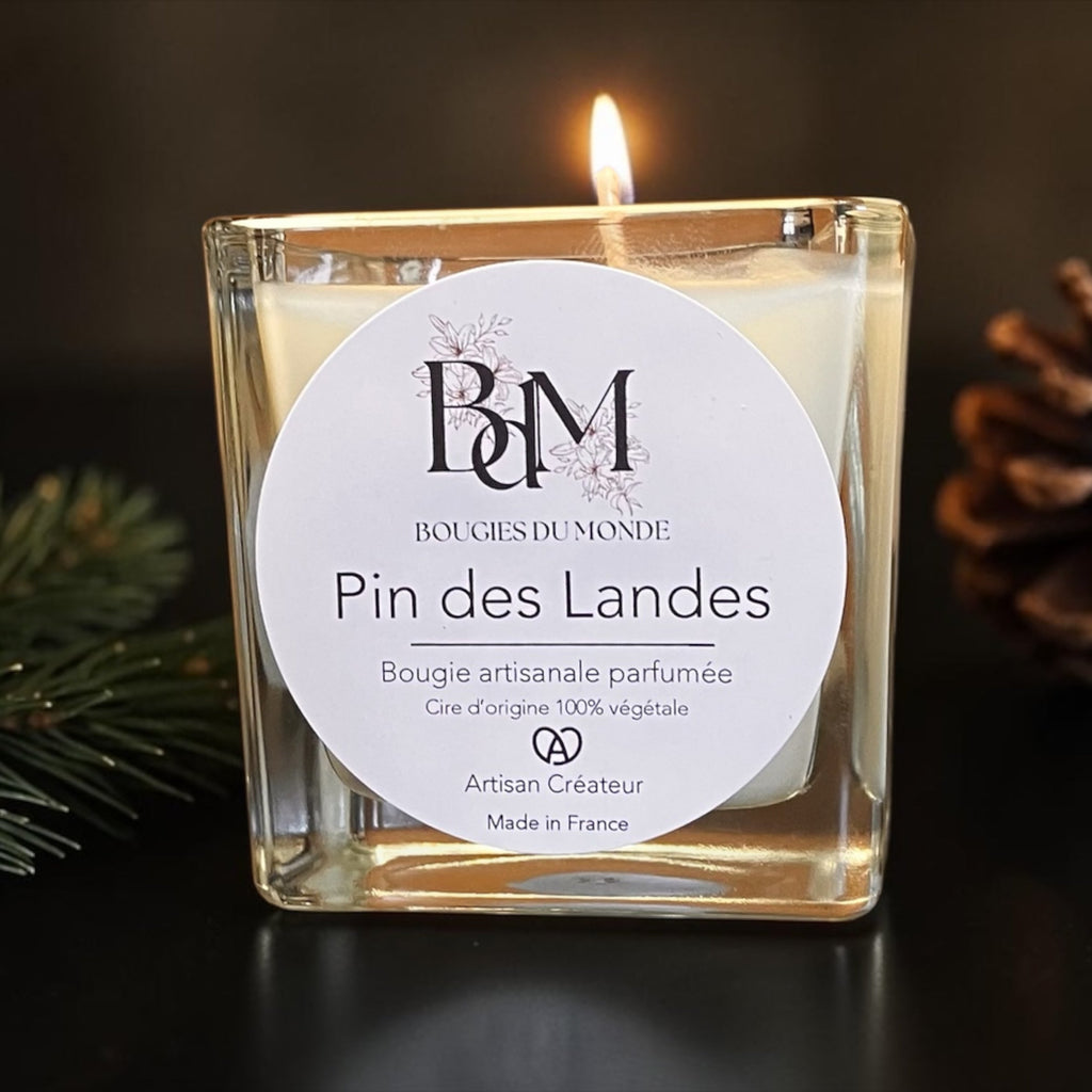 Bougie végétale parfumée pin des Landes - bougies du monde