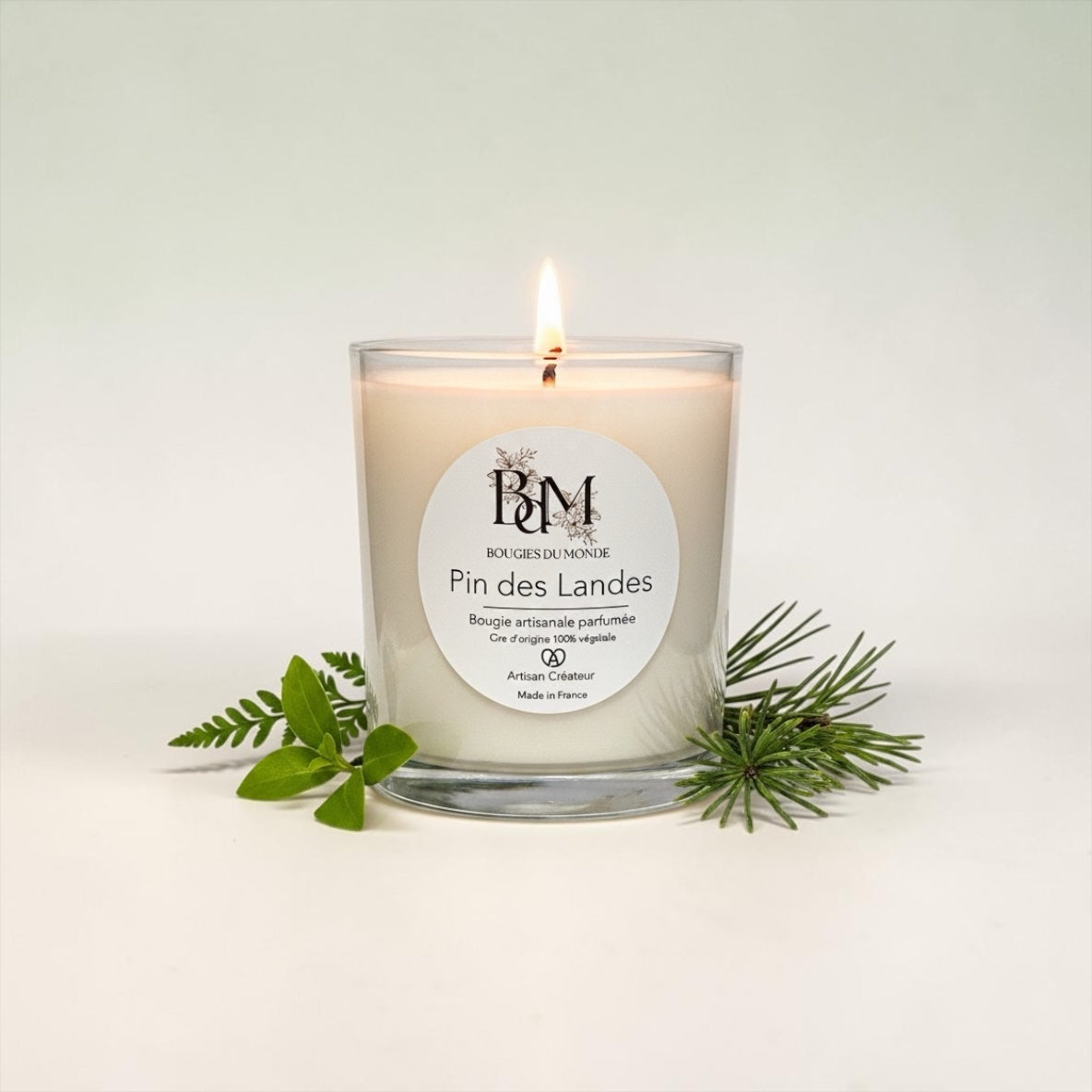 Bougie parfumée Pin des Landes végétale naturelle artisanale - Bougies du Monde