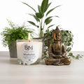 Bougie parfumée Méditation