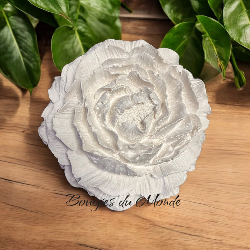 Grande céramique à parfumer "Fleur"