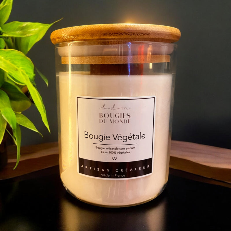 Bougie végétale sans parfum - Mèche Bois - Verre 450ml