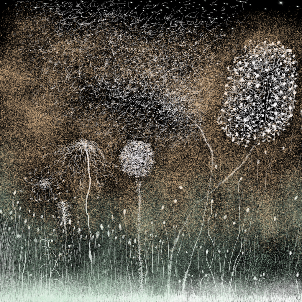 Carte postale artistique: Nature - Marron