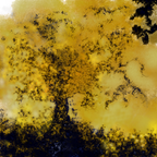 Carte postale artistique: Arbre de vie - Or