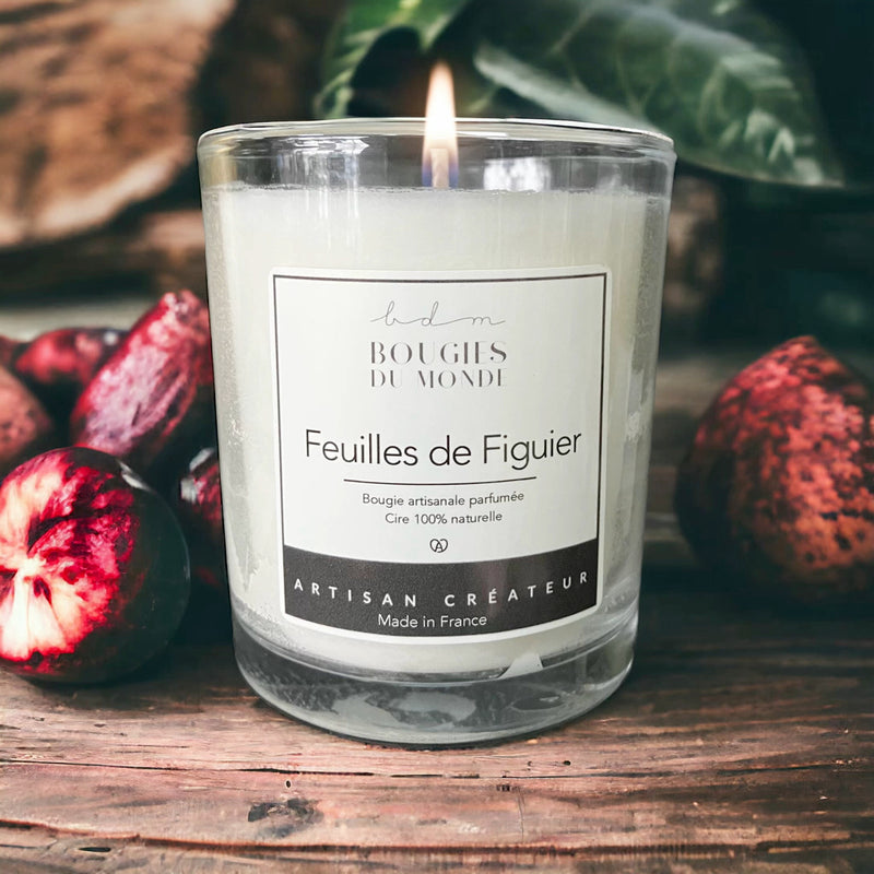 Bougies végétales parfumées feuilles de figuier 